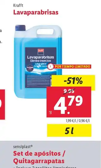 Lidl Lavaparabrisas oferta
