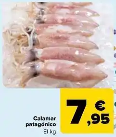 Carrefour Calamar patagónico oferta