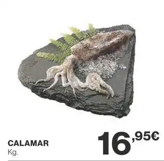 Supercor CALAMAR oferta