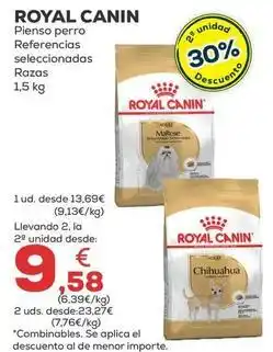 Kiwoko Royal canin - pienso perro oferta