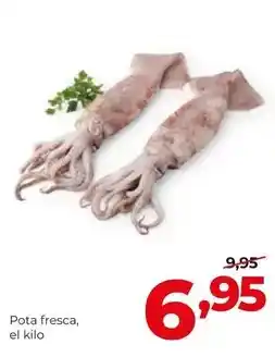 Kiwoko Pro plan - humedo gato oferta