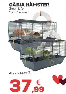 Kiwoko Small life - kit hamster oferta