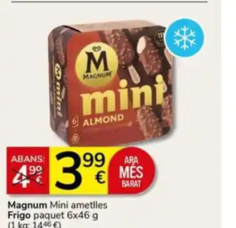 Supermercados Charter Magnum Mini ametlles Frigo oferta