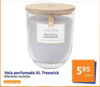 Action Vela perfumada XL Treewick oferta