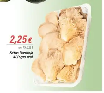 Cash Ifa Setas Bandeja 400 grs und oferta