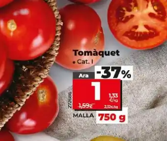 Maxi Dia Tomàquet oferta