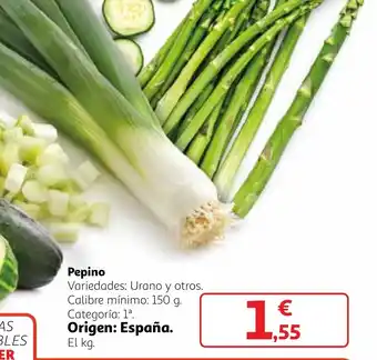 Alcampo Pepino oferta