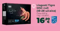 CashDiplo Bobina de papel oferta