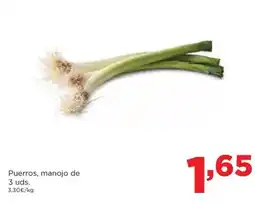 Optimus Tumbona jaipur oferta