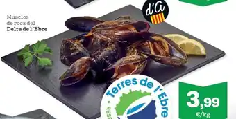 Sorli Musclos de roca del Delta de l'Ebre oferta