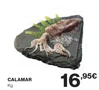 Hipercor CALAMAR oferta