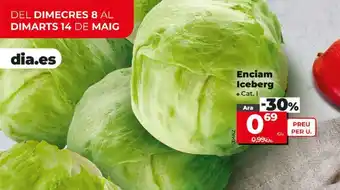 Dia Enciam Iceberg oferta