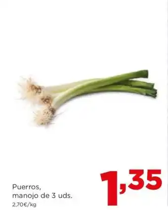 Alimerka Puerros, manojo de 3 uds. oferta