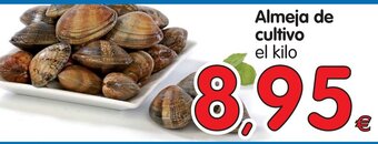 Alimerka Almeja de cultivo oferta