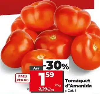 Maxi Dia Tomàquet d'Amanida oferta