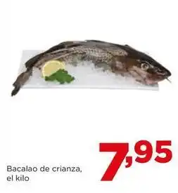 Alimerka Bacalao oferta