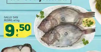 HiperDino Gallo san pedro, el kg oferta