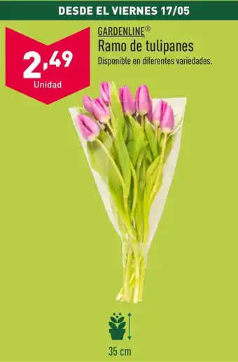 ALDI GARDENLINE® Ramo de tulipanes oferta