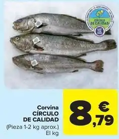 Carrefour Market Corvina oferta