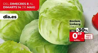 Maxi Dia Enciam Iceberg oferta