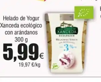 Froiz Helado de Yogur Xanceda ecológico con arándanos oferta