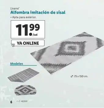 Lidl Livarno Alfombra Imitacion De Sisal oferta