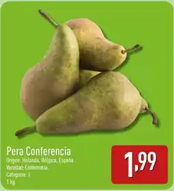 Carrefour Scottex - papel de cocina jumbo oferta