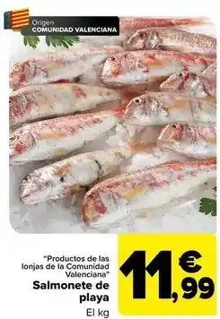 Carrefour Lona cordones y cremallera oferta