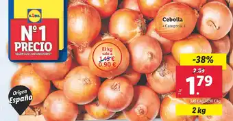 Lidl Cebolla oferta