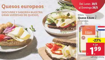 Lidl Queso Edam oferta