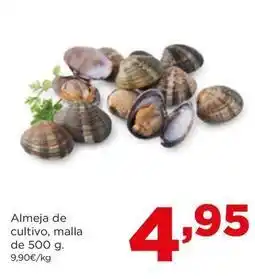 Alimerka Almeja de cultivo oferta