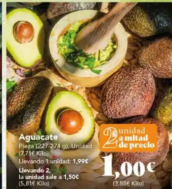 Gadis Aguacate oferta