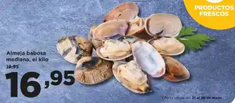 Alimerka Almeja babosa mediana, oferta