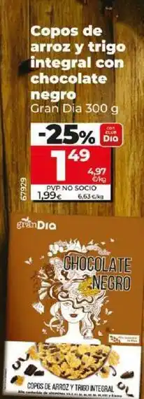 Dia Gran dia - copos de arroz y trigo integral con chocolate negro oferta