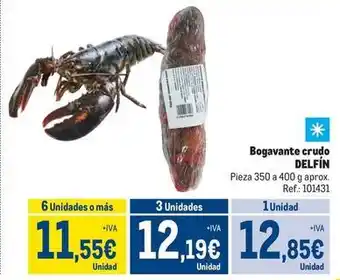 Makro Delfín - bogavante crudo oferta