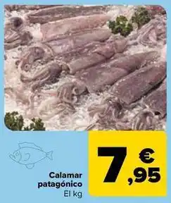 Carrefour Calamar patagónico oferta