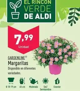 ALDI Gardenline - margaritas oferta