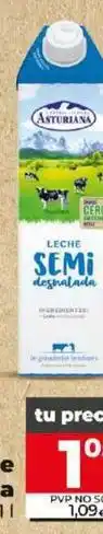 Dia Asturiana - leche semidesnatada oferta