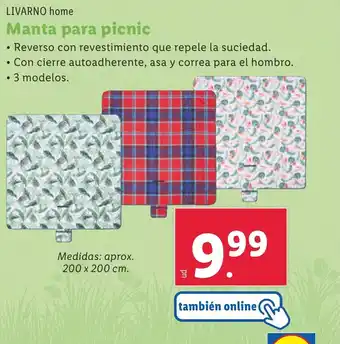 Lidl Manta para picnic oferta