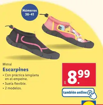 Lidl Escarpines oferta