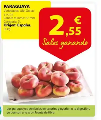 Alcampo PARAGUAYA oferta
