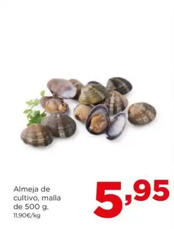 Alimerka Almeja de cultivo, malla de 500 g. oferta