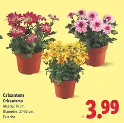 El Corte Inglés Pienso para perros oferta