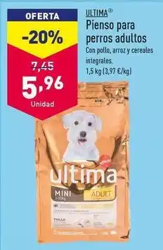 ALDI Última - pienso para perros adultos oferta