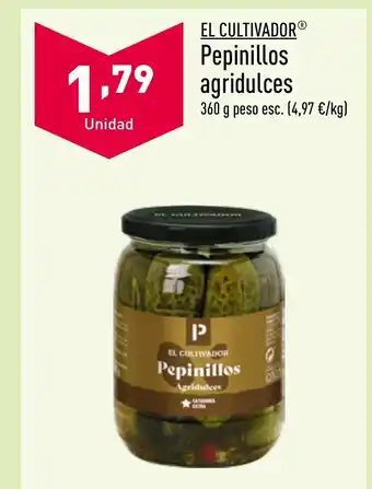 ALDI EL CULTIVADORⓇ Pepinillos agridulces oferta