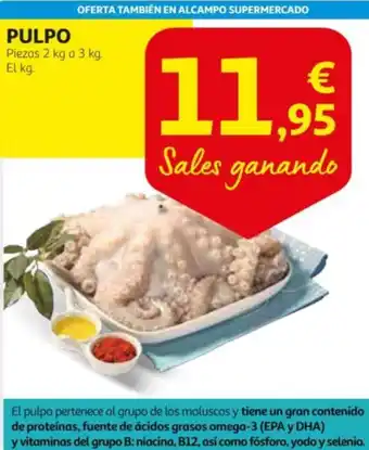 Alcampo PULPO oferta