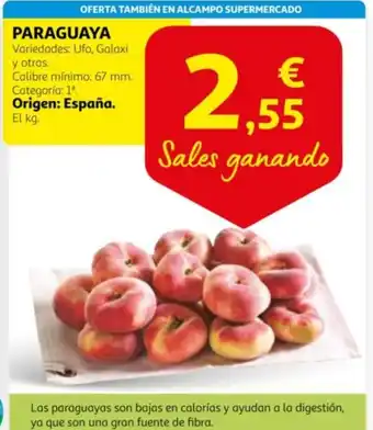 Alcampo PARAGUAYA oferta