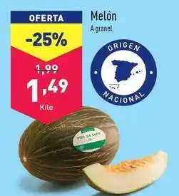 ALDI Melon oferta