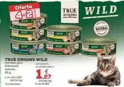 Kiwoko True origins - wild húmedo gato oferta