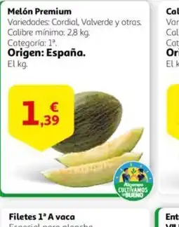 Alcampo Melón Premium oferta